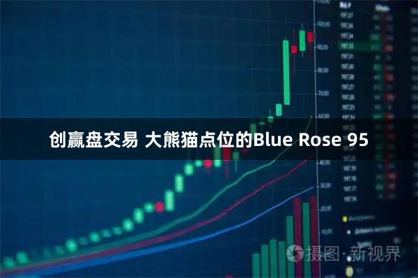 创赢盘交易 大熊猫点位的Blue Rose 95
